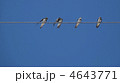 4643771