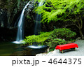 月待の滝