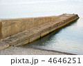 4646251