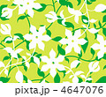 パターン