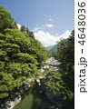 祖谷のかずら橋