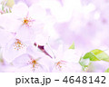 4648142