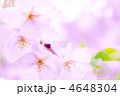 4648304
