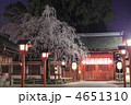 平野神社　春の夜