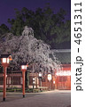 平野神社　春の夜