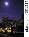 平野神社　春の夜