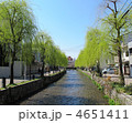 京都　白川と柳