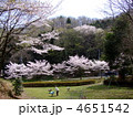 百体観音の桜