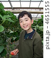 いちご狩り
