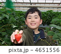 いちご狩り