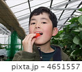いちご狩り