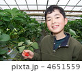 いちご狩り
