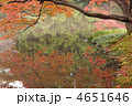 紅葉と水面