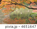 黄葉と水面