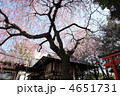 春の水火天満宮　