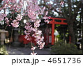 春の水火天満宮　