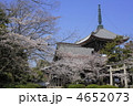 春の本法寺