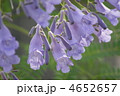 4652657