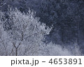 4653891