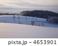 4653901