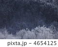 4654125
