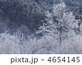 4654145