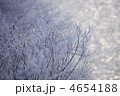 4654188