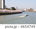 お花見クルージング