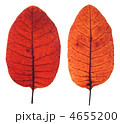 4655200