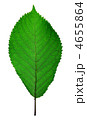 4655864