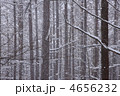 4656232