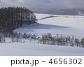 4656302