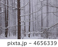4656339
