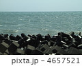 久能海岸の風景