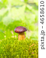 4658610