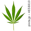 4658810