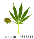 4658813