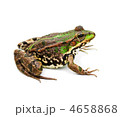 4658868
