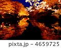 4659725