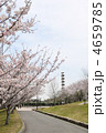 モニュメントと桜