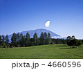 春の小岩井牧場