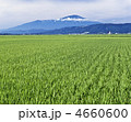 庄内平野からの鳥海山