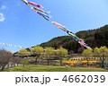 こいのぼり・ヨコ１