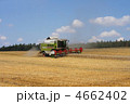 4662402