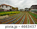 大宮散歩・畑のある住宅地風景