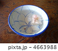 桜茶