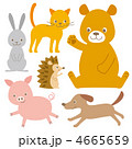 動物