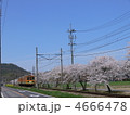 ガチャコンと桜