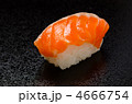 raw salmon sushi, サーモン