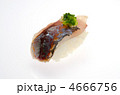 horse mackerel sushi, アジ